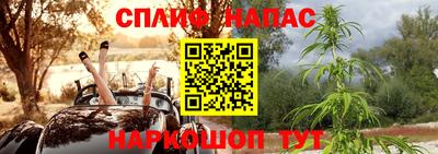 крисы Тулун