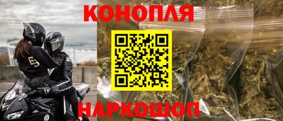 шишки Усть-Илимск