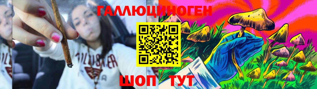 Мичуринск  Псилоцибиновые грибы ЛСД  Вход с VPN 